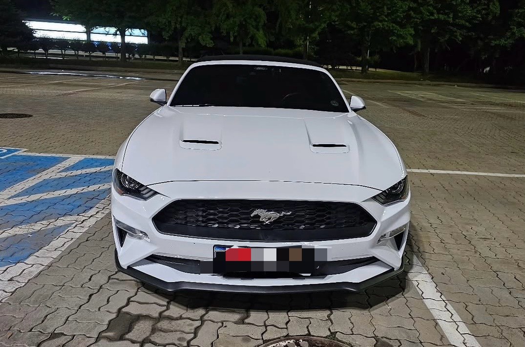 머쓱머쓱